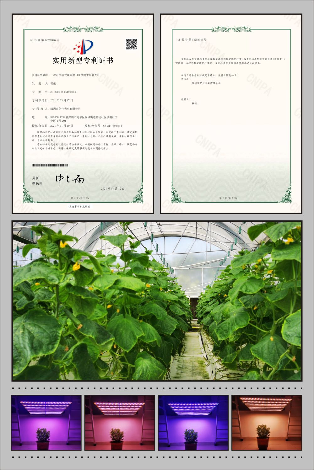 海博测评植物农场灯实用新型专利